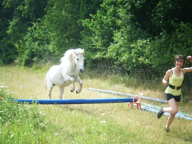 Anden særlig race Laika  - #17 Hun følger mig fordi hun tror på mig! Hun tror på mig fordi jeg tror på hende <3 [Foto-katrine]  billede 17