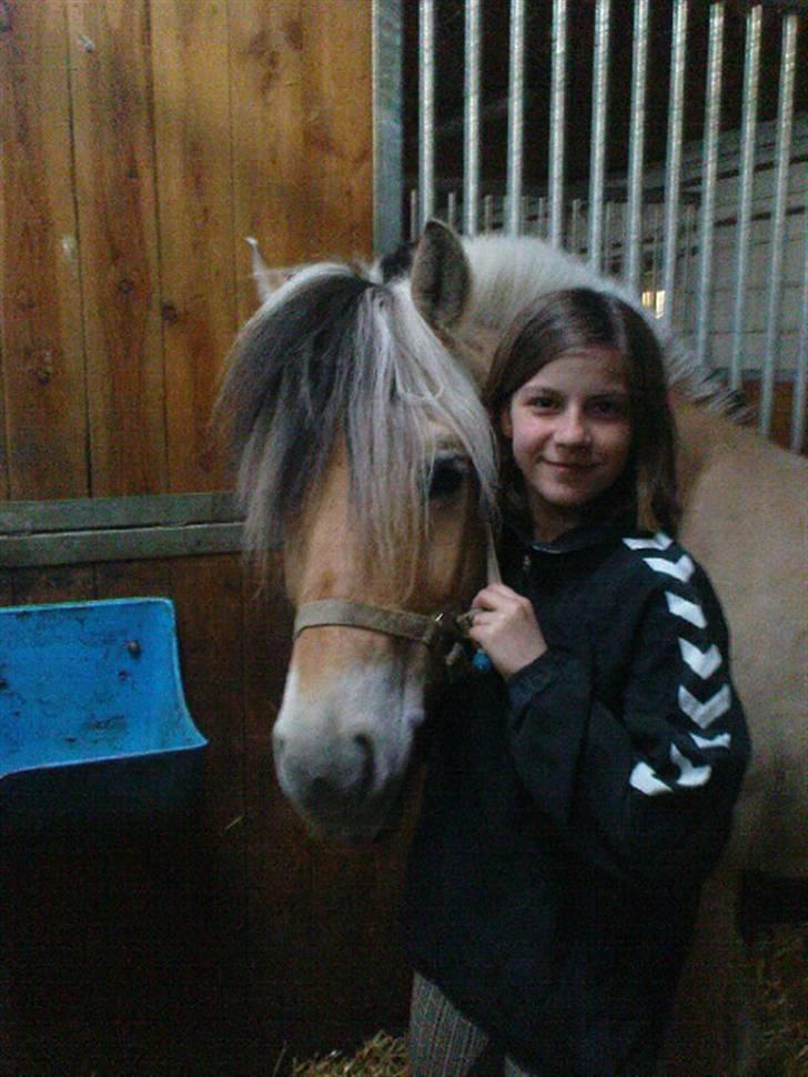 Fjordhest Bubber - Bubber og jeg. (Mia tager billedet) hihi billede 6