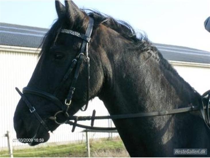 {{currentPhoto.altText}} billede {{currentPhoto.number}}