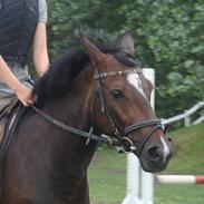 Anden særlig race Fleur. <33 (solgt)