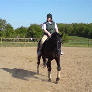 Oldenborg Bastian af Bækkeskov