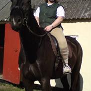 Oldenborg Bastian af Bækkeskov