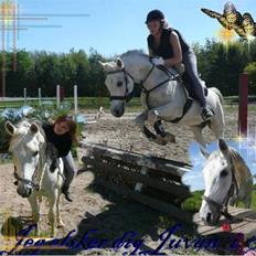 Anden særlig race Jovan