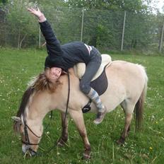 Fjordhest Stella(part/rider)