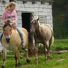 Fjordhest Stella(part/rider)