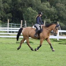 Anden særlig race Bratz <3