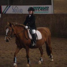 Anden særlig race  Sus R.I.P