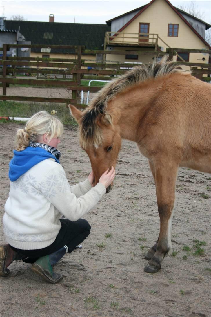 Anden særlig race Cassiopeia *Min Stjerne* - 13// "Jeg elsker dig" .. du er min drømme hest! <3 billede 13