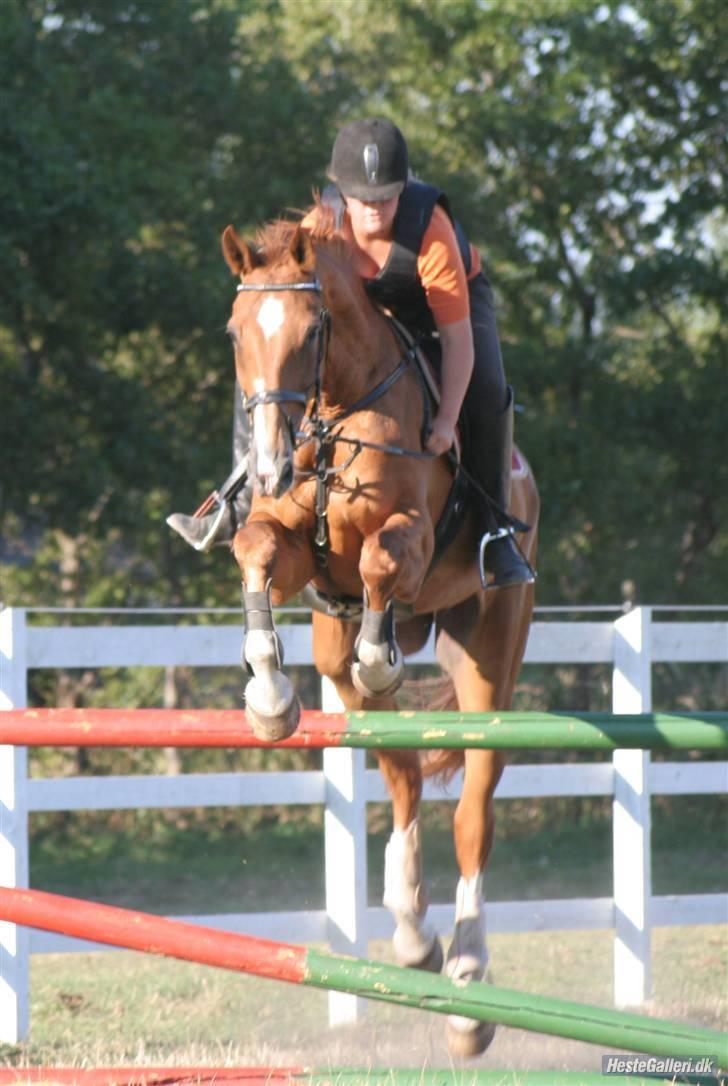 Mecklenburger Godus 2 billede 14