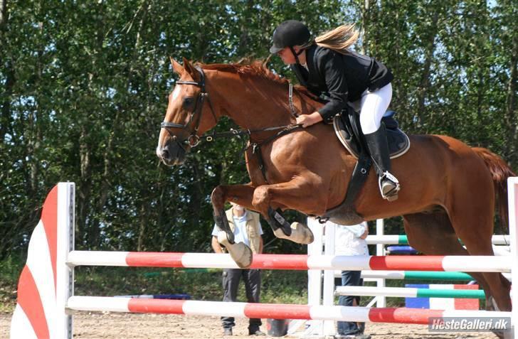 Mecklenburger Godus 2 billede 17