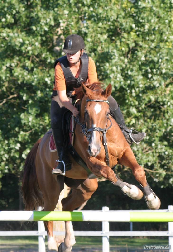 Mecklenburger Godus 2 billede 19