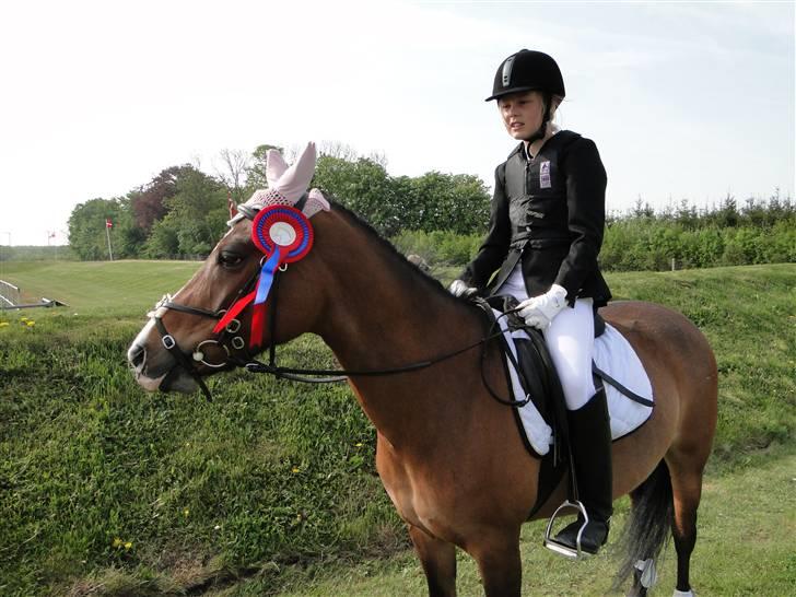 DSP Diba - Dibbe efter stævnet billede 1