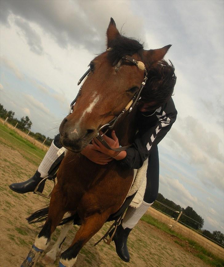 Anden særlig race Til minde om Erasmus Montanus  - Nr. 18 Pylret :D billede 18