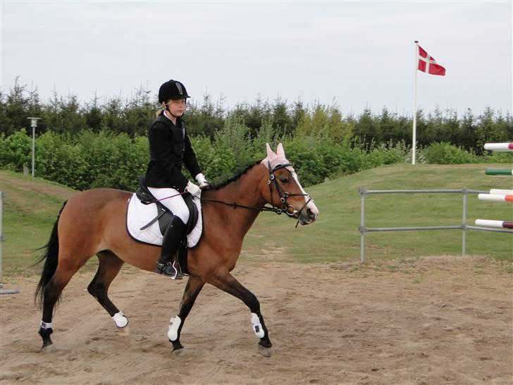 DSP Diba - Jeg og Diba varmer op til spring stævne billede 2