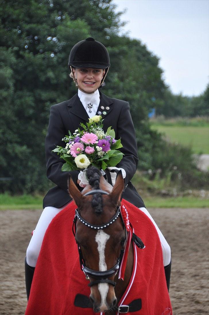 Welsh Partbred (Sec F) Coelenhage's Reza RSDH - Sydjysk Mester for Hold 2010 billede 13