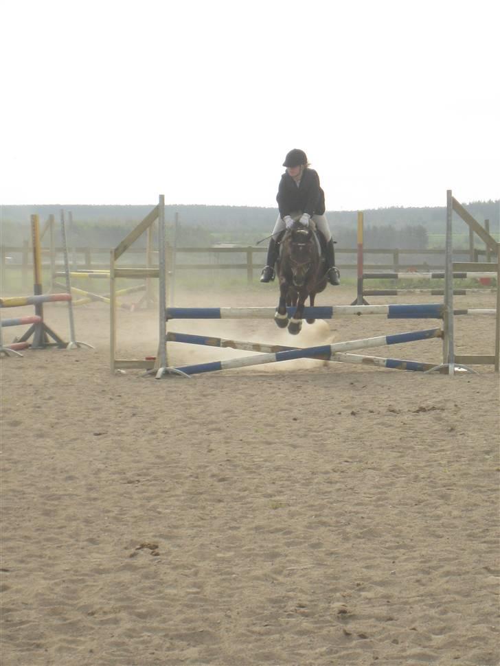 Anden særlig race Ibrahim <3<3<3 solgt billede 10