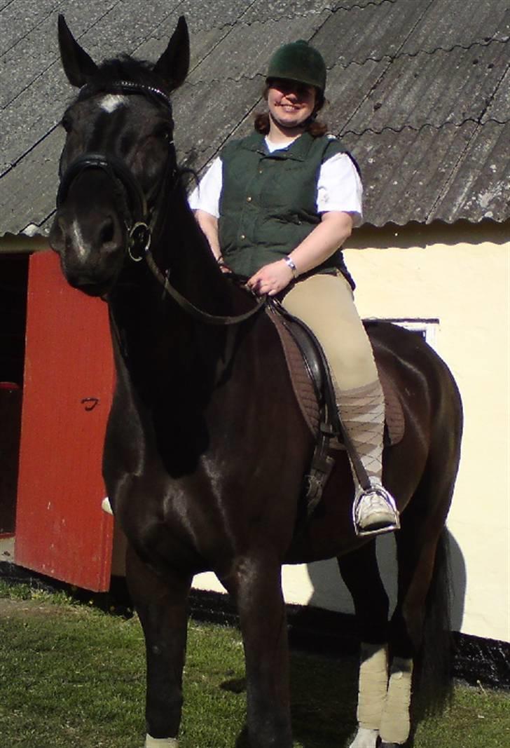 Oldenborg Bastian af Bækkeskov - Stor hest - stort smil billede 5