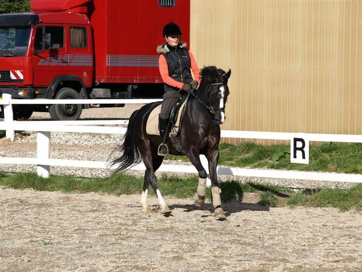 DSP Barrichello † R.I.P † - træning d. 13. oktober :D foto: Christina Buhl :D billede 4