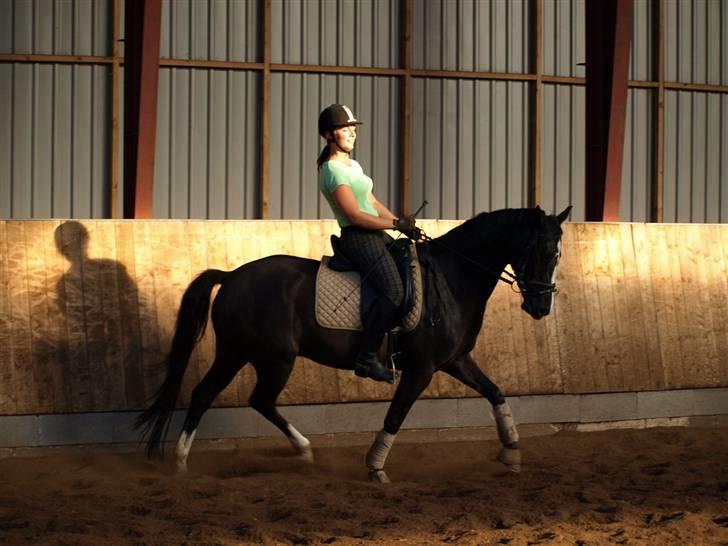 DSP Barrichello † R.I.P † - dressurtræning d. 22 august ;d Foto: maria min skat :D <3 billede 9