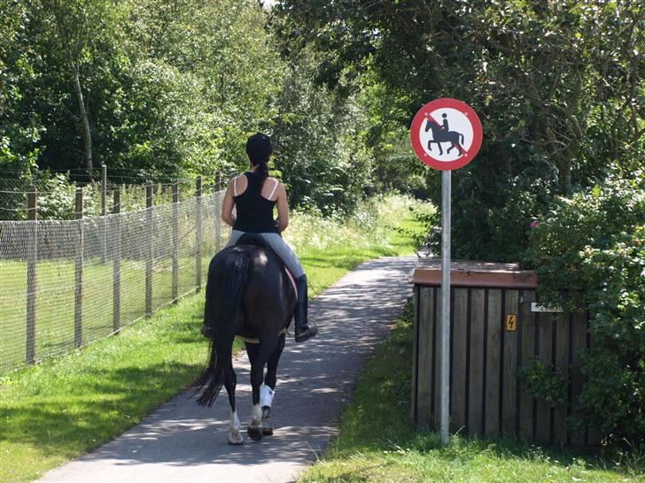 DSP Barrichello † R.I.P † - Her slutter vi af, forsvinder ind i den forbudte skov ;o, og siger tak for besøget! ;)  billede 20