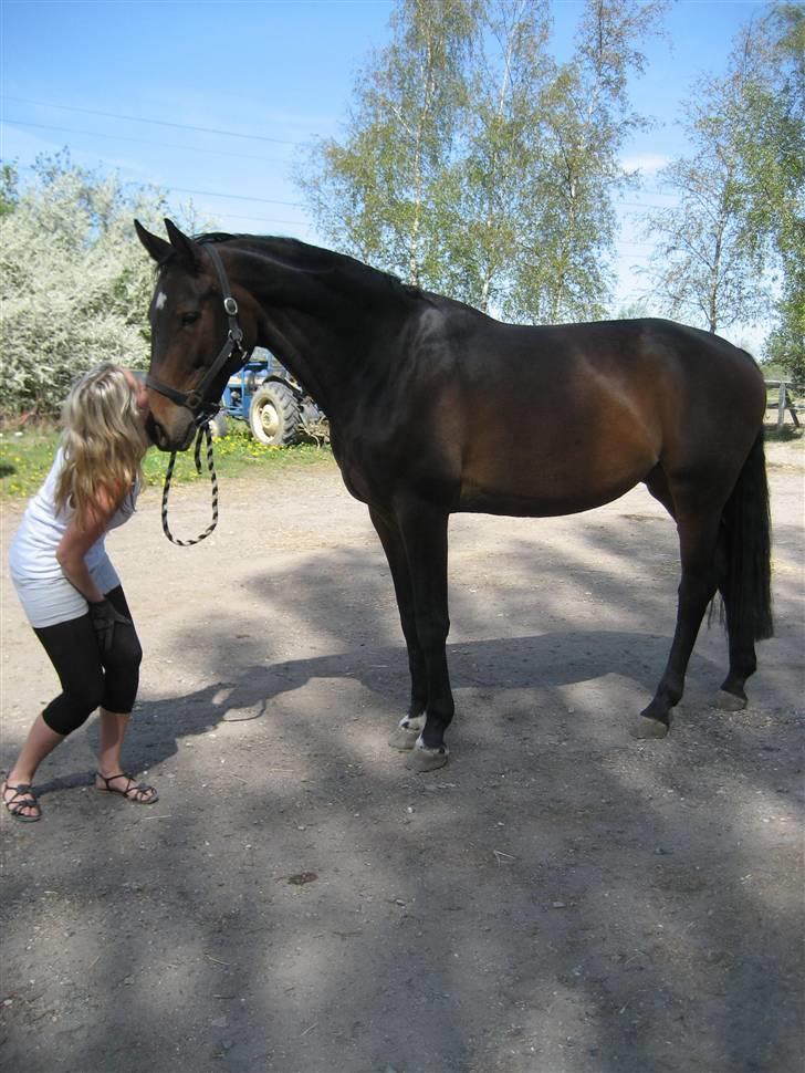 Dansk Varmblod Daylight Rex R.I.P. <3 - Lige en dejlig kysser i skyggen, mens Henriette Mundt fanger os ;o) billede 2