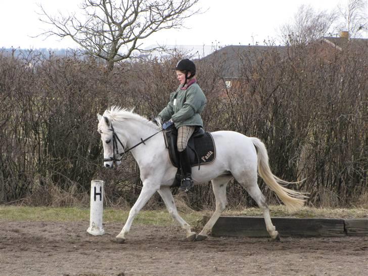 DSP Fanta <3 - Mig og min Skat SÅ gode er vi <3 *"Sandt venskab findes, hvor tavshed mellem to personer er behagelig." billede 5