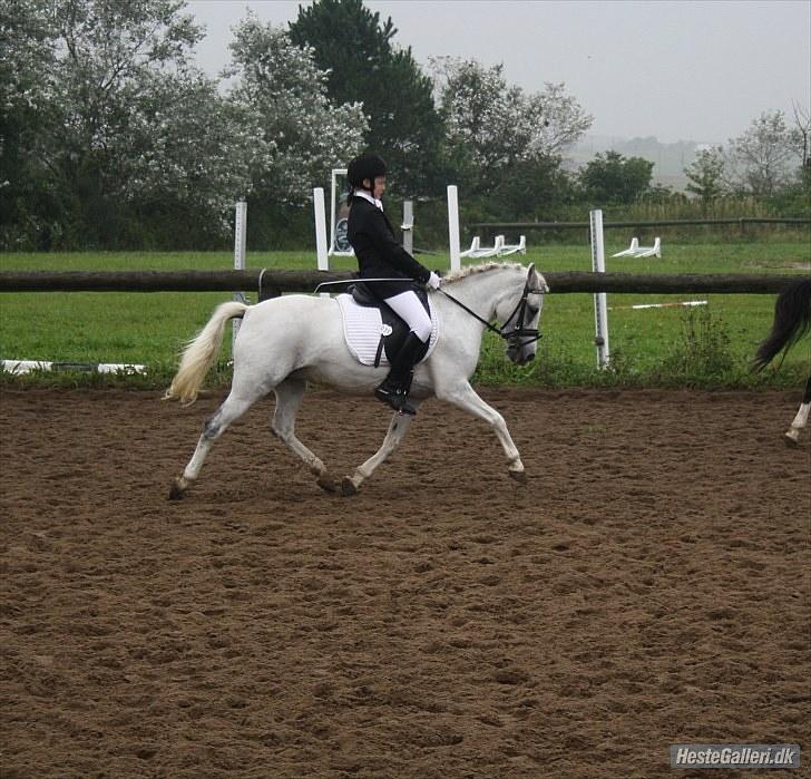 DSP Fanta <3 - øgning, til opvarmning til LA1 :D (fotograf Maria ) *"It takes a second to say i love you, but a lifetime to show it." billede 6