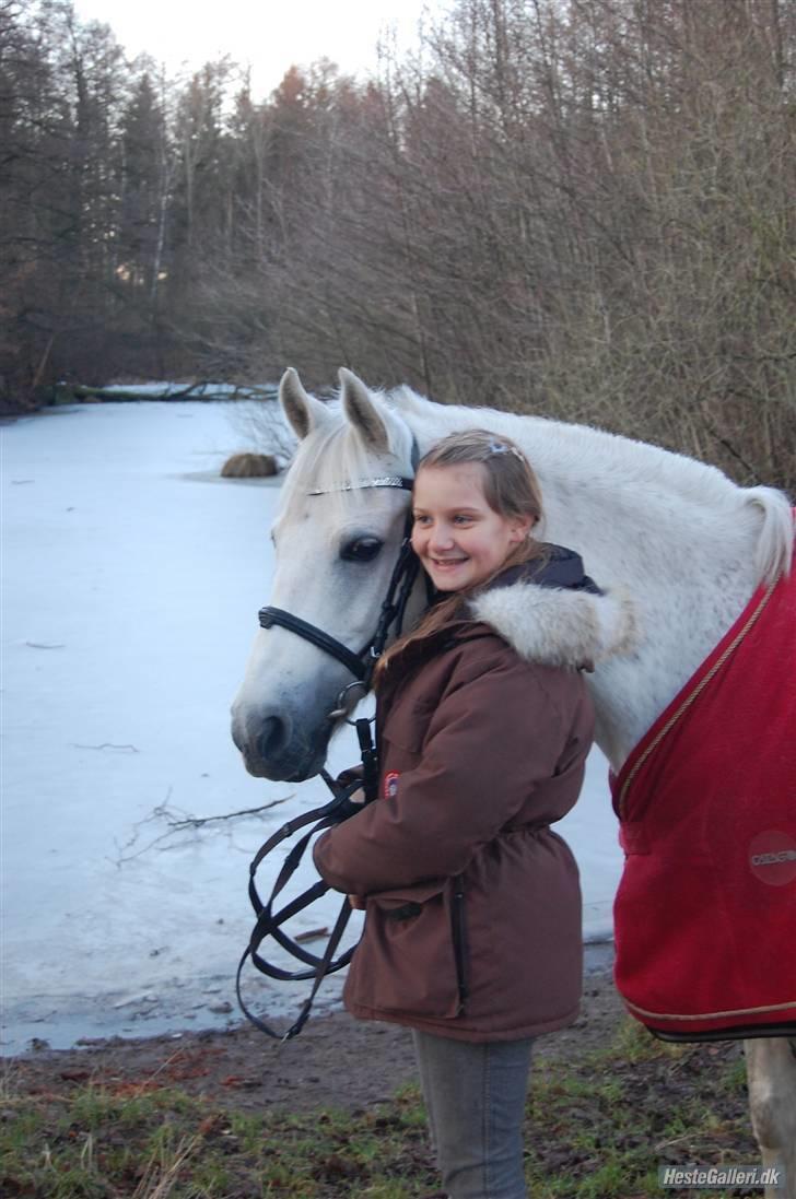 Connemara Coda  - Coda og hans nuværende ejer tulle (:  foto : maria billede 20