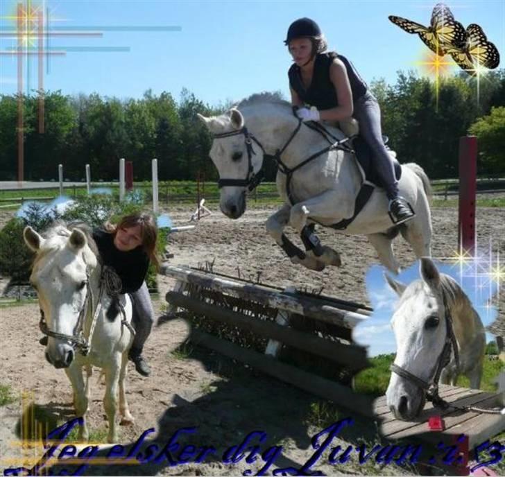 Anden særlig race Jovan - velkommen til Juvans profil (: *jeg elsker dig, dreng :i.<3 billede 1