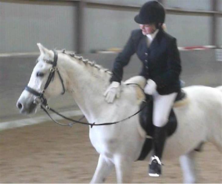 Anden særlig race Jovan - Efter programmet ;) billede 3