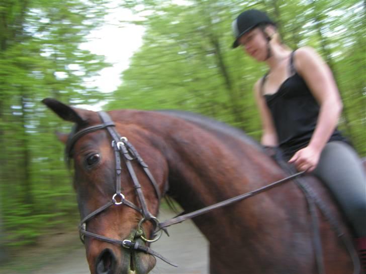 Anden særlig race Claythorpe Josephine - Ret sejt billede, alligevel :b .. 28/5-09. billede 11