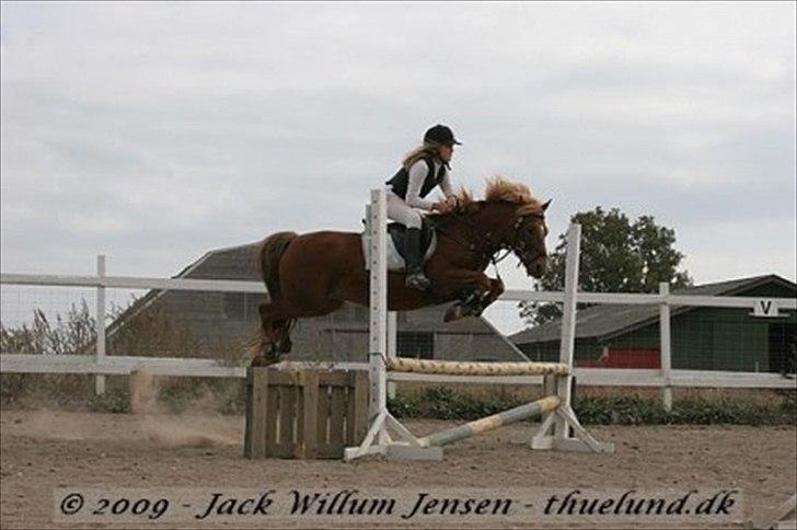 New Forest Casino (Solgt) - Velkommen :D - Elsker det her billed!(: billede 1