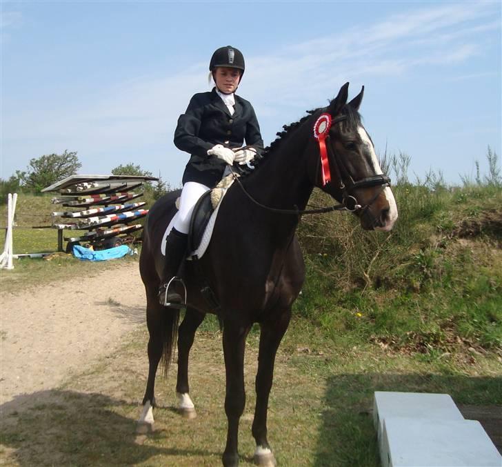 Dansk Varmblod Giza - Giza til sit første stævne d. 2 maj 2009 i farstrup.  billede 17