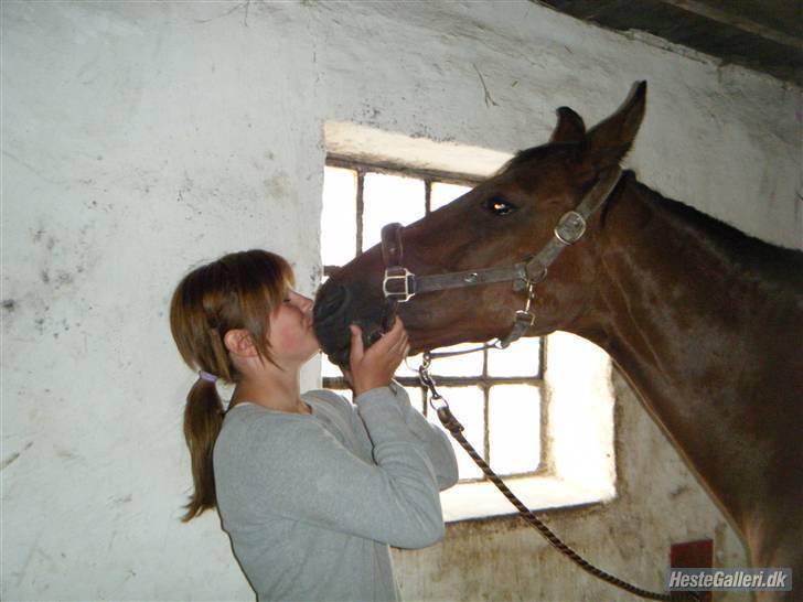 Traver Cindy vestermarken - himmelhest - Myys ;D billede 10