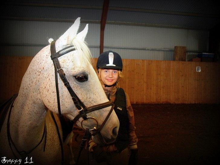 Anden særlig race Snappy .<'3 - Så smuk, så yndeful, så skrøbelig du kan være Snappy <3 Foto: Far billede 4