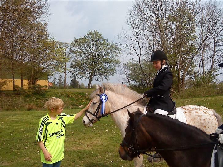 Anden særlig race »Philippa<3 »Gammel part. - 2. plads i LC2, tror jeg ;-). billede 16