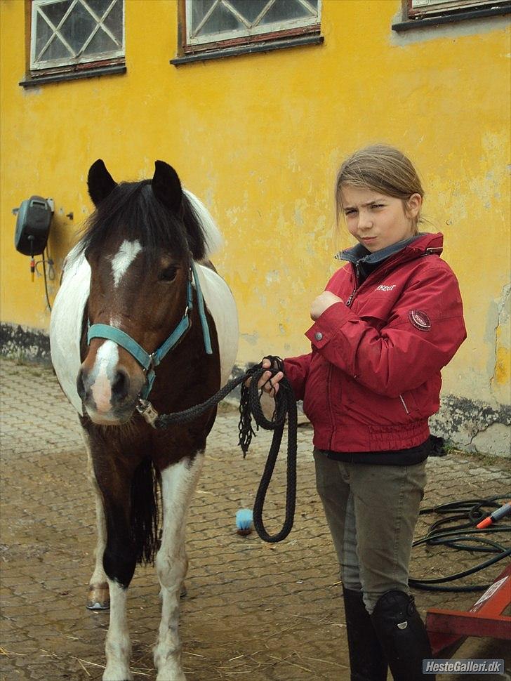 Pinto Spotty Cassiopeia B-pony - hej velkommen til verdens bedste pony: Spotty Cassiopeia og hans rytter: Antonie.Foto:Emma Sjelle billede 1