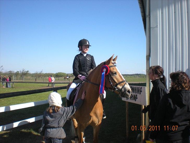 Haflinger Kaspertot's Qena - Stævne i Hodsager D. 1/5-2011 billede 17