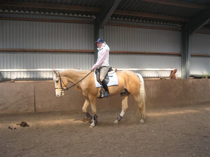 Palomino Lysgaards Bazar#SOLGT# billede 3