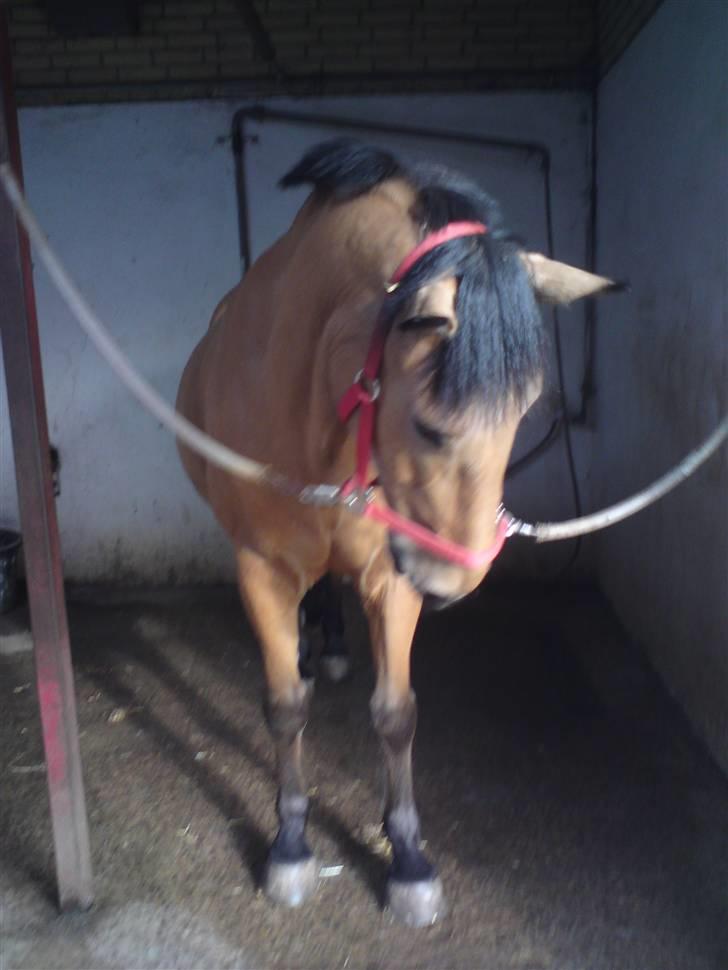 Anden særlig race Bratz <3 - Nuue xD billede 2