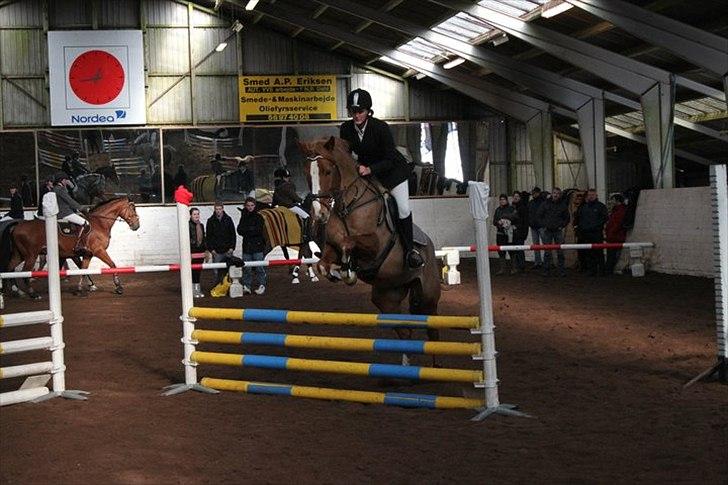 Dansk Varmblod Lindegaardens maybelline - NYT! 90 cm. i MBR, 2. pl. første rigtige stævne efter et halvt til helt års stævne pause. men nu vi klar igen :D billede 14