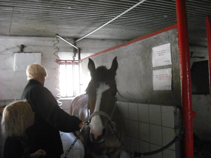 DSP Diba - Dibbe i vanderen<3 billede 4