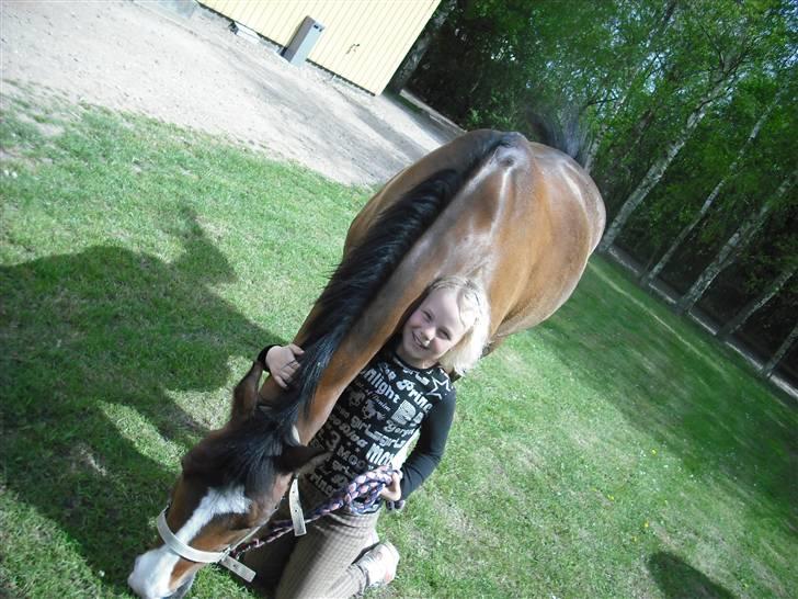 DSP Diba - Maja og Diba. Dibbe skal lige tøre;) billede 5