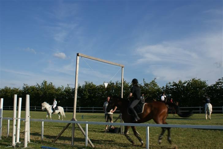 Anden særlig race Jamaica *solgt* - ringridning 2009 (: billede 2