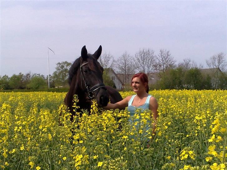 Pinto Miss June *solgt* billede 17