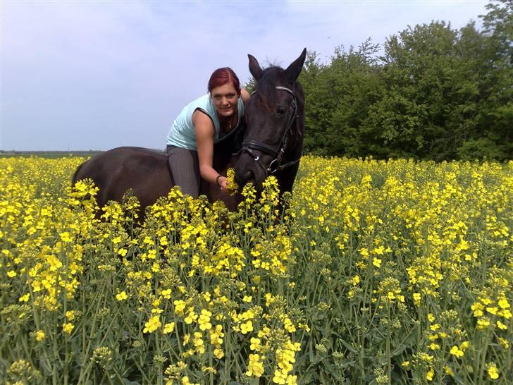 Pinto Miss June *solgt* billede 18