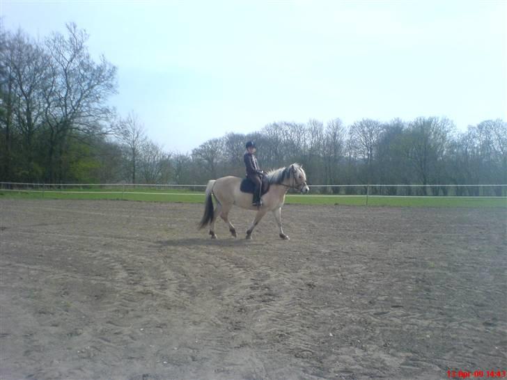 Fjordhest Sally - Solgt - Det samme - Mig med Karina på ryggen. Foto: Min far. billede 4