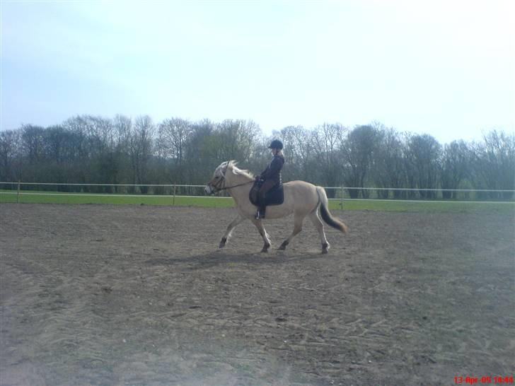 Fjordhest Sally - Solgt - Mig og Karina i skridt. - På venstre volde. Foto: Min far. billede 6