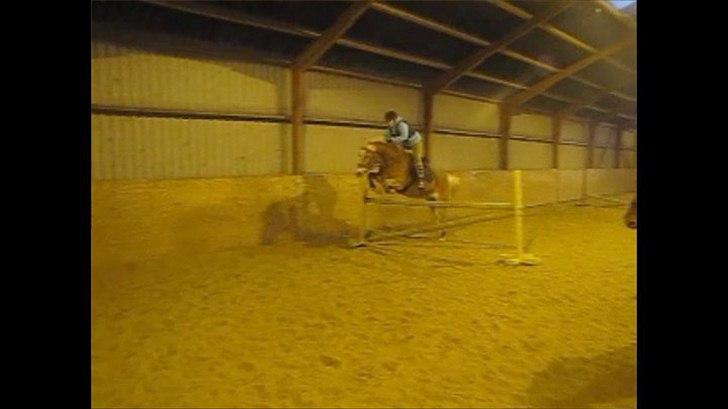 Tyroler Haflinger Mistery<3 - 6) hvert sekund du elsker, skal du frygte et sekund at du mister billede 5