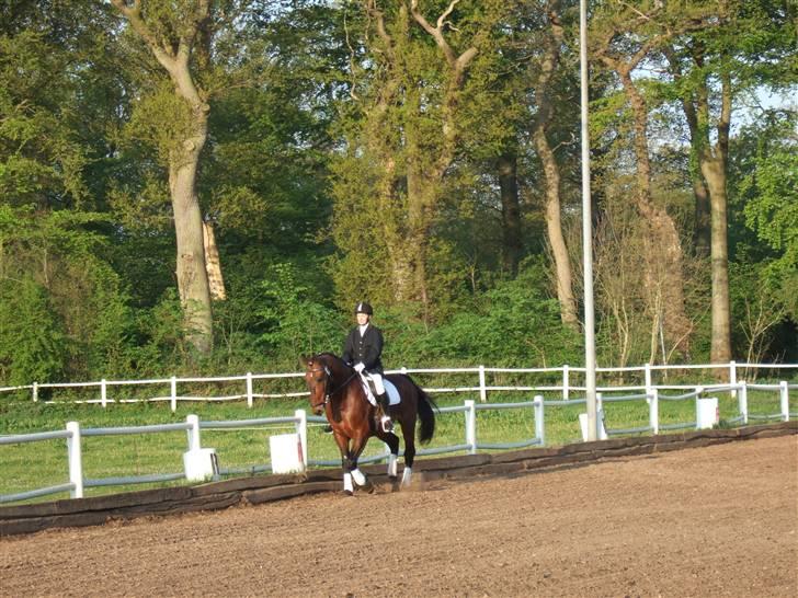 Oldenborg Jeppe af østerholm billede 11